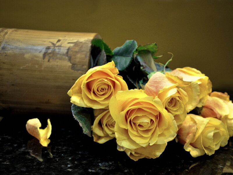 Yellow Roses in Bamboo — Calm