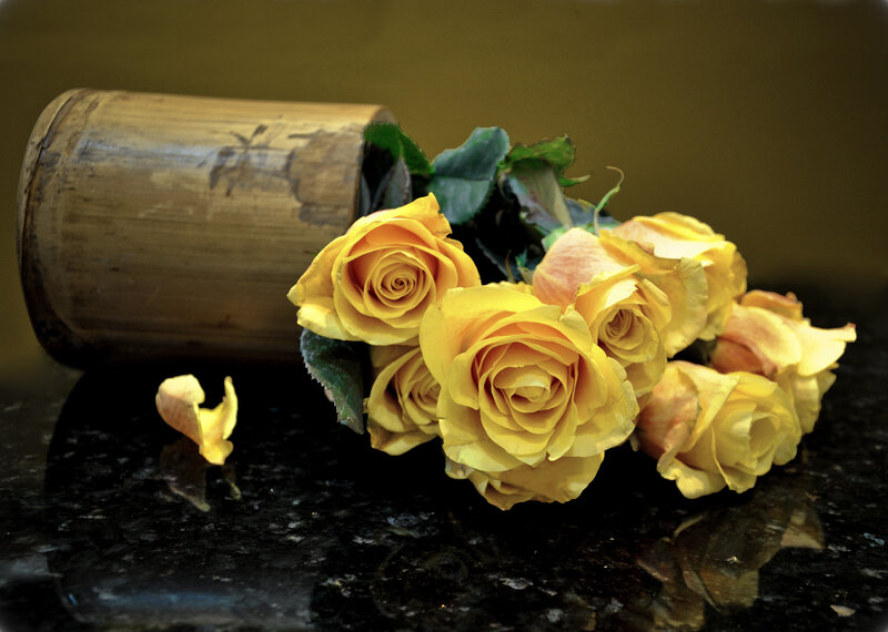 Yellow Roses in Bamboo