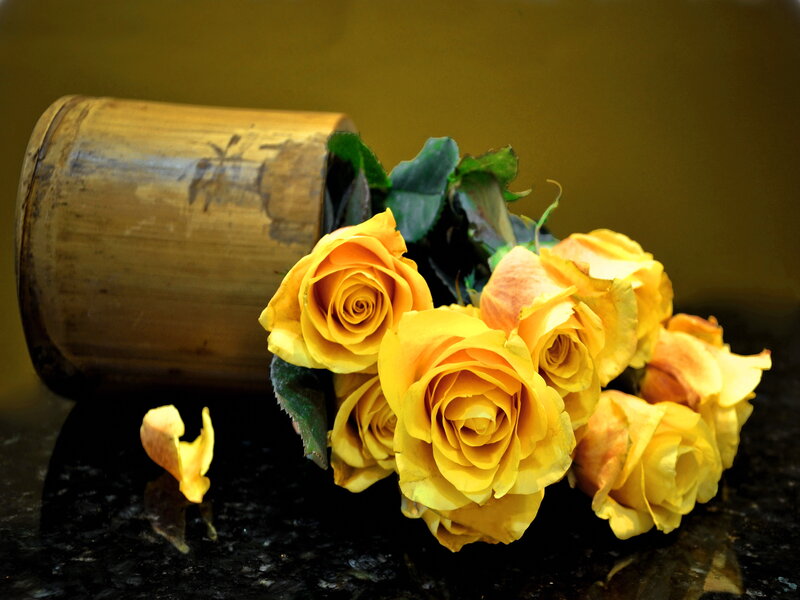 Yellow Roses in Bamboo Vase — Calm