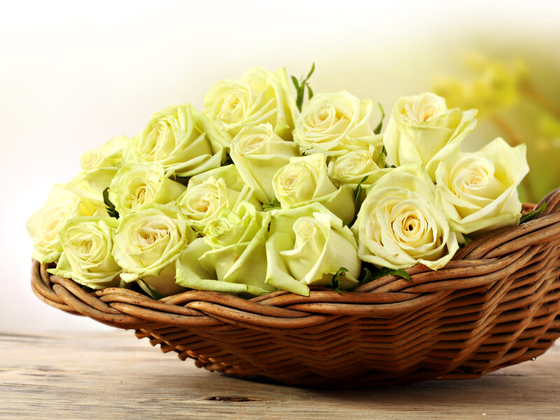 Yellow Roses in Basket — Calm, Photograph