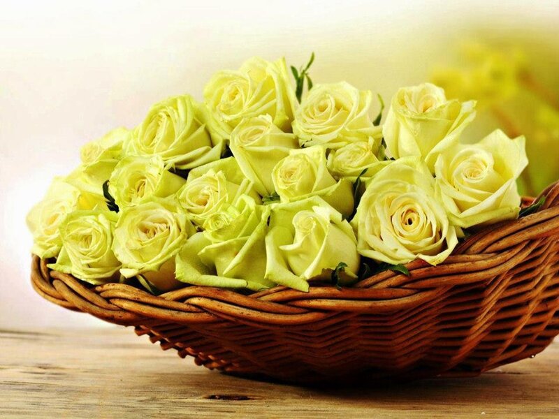 Yellow Roses in Basket — Calm, Photograph, Wooden Surface