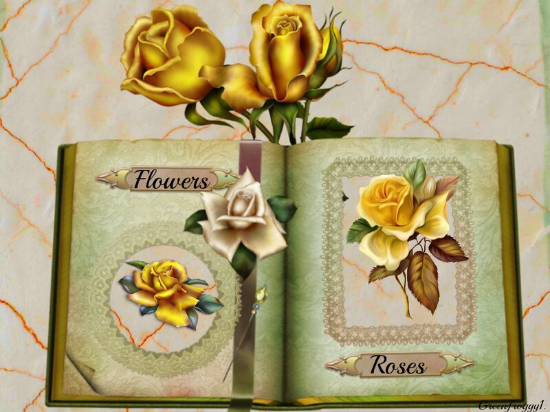 Yellow Roses in Book