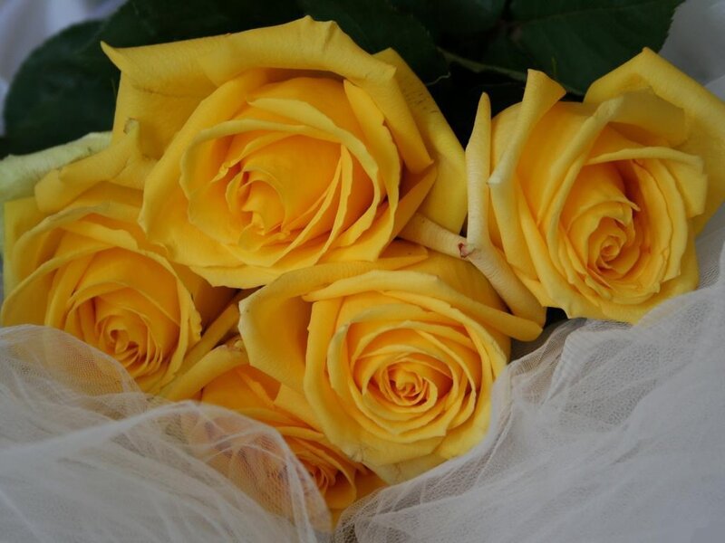 Yellow Roses in Bouquet