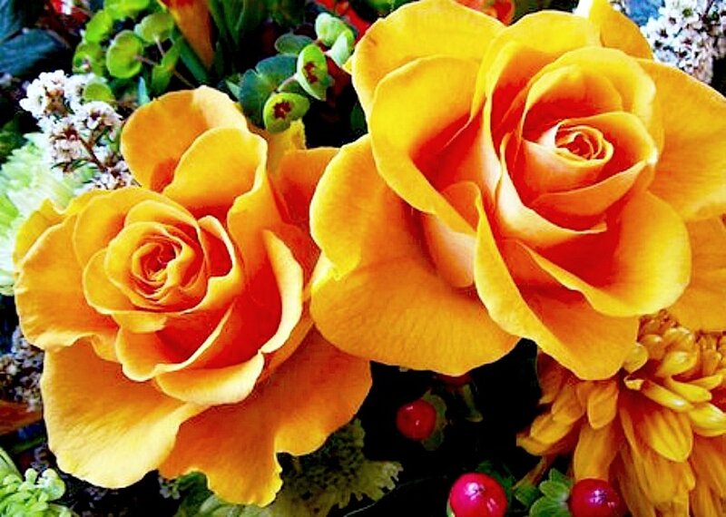 Yellow Roses in Bouquet — Vibrant