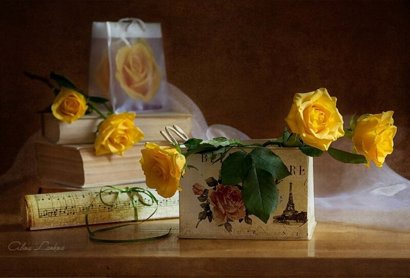 Yellow Roses in Box — Serene