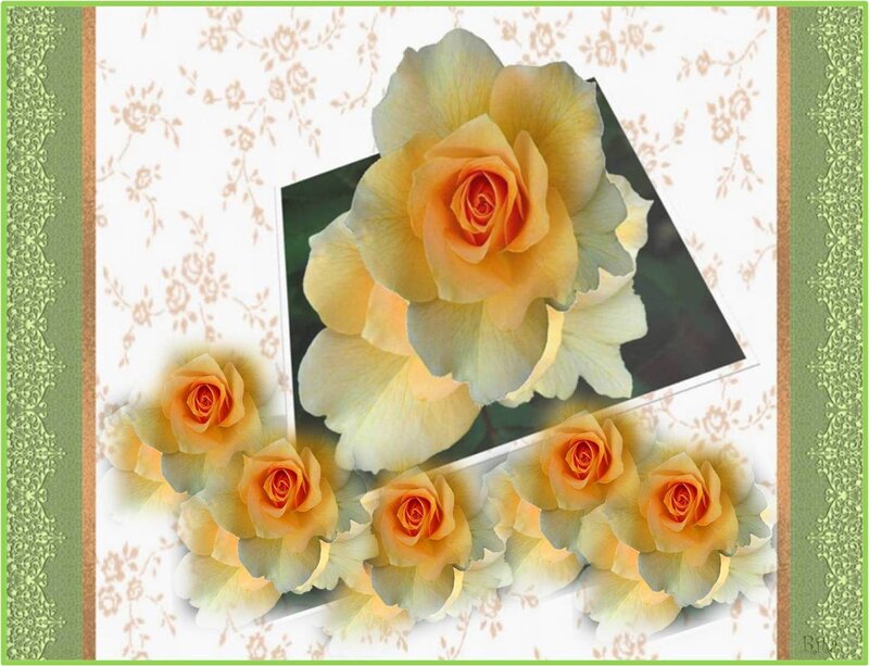 Yellow Roses in Frame