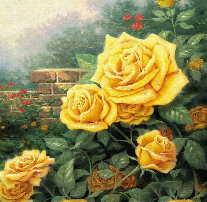 Yellow Roses in Garden — Serene, Morning