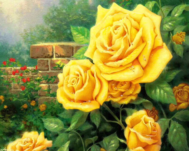 Yellow Roses in Garden — Serene