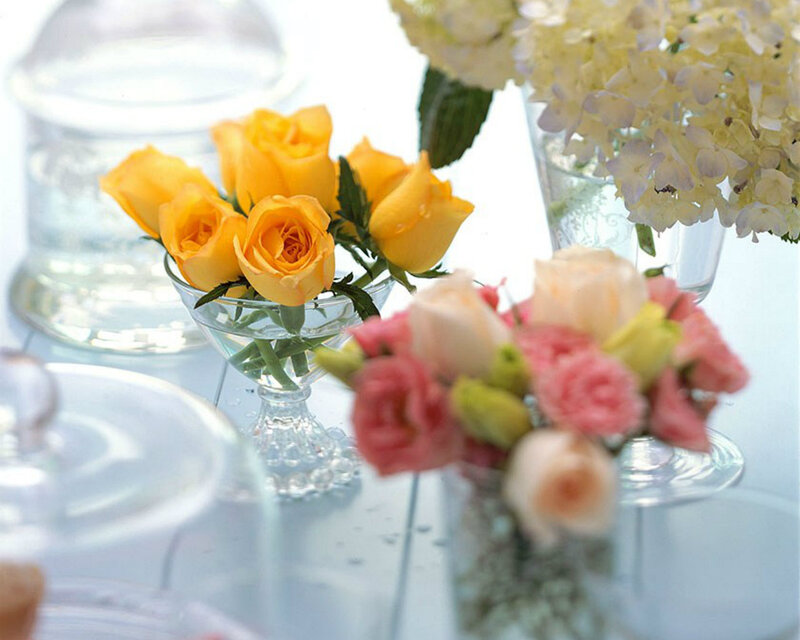Yellow Roses in Glass Vase — Serene
