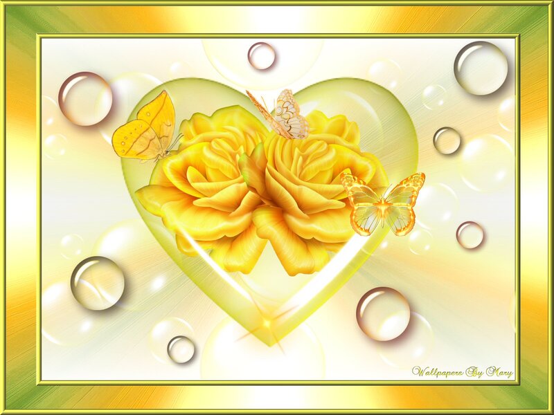 Yellow Roses in Heart