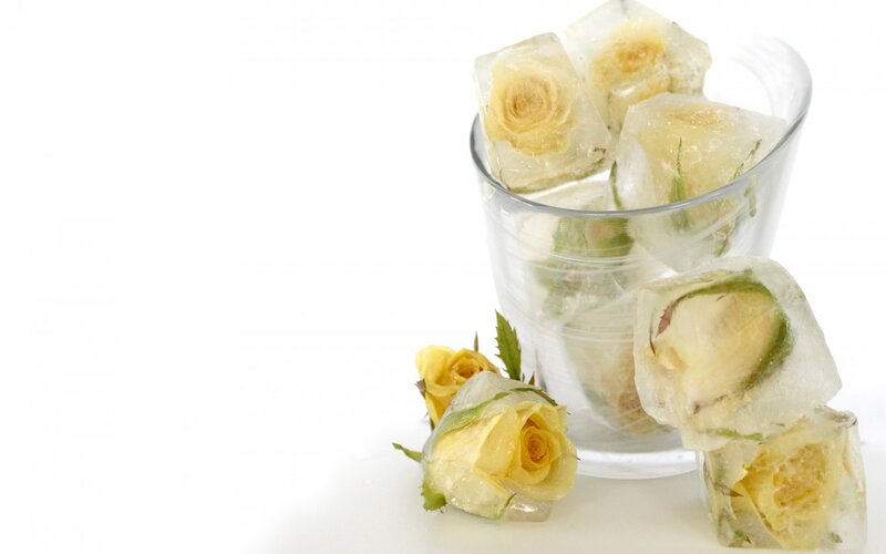 Yellow Roses in Ice Cubes