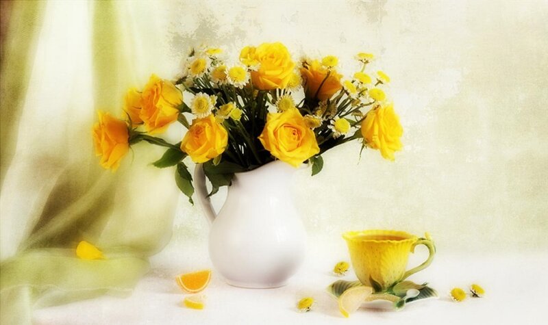 Yellow Roses in Pitcher — Serene, Morning, Photograph, Flowers