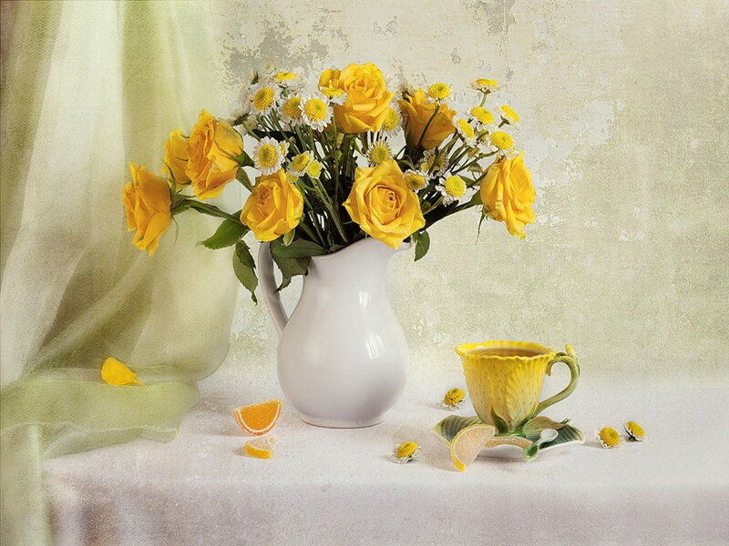Yellow Roses in Pitcher — Serene, Morning