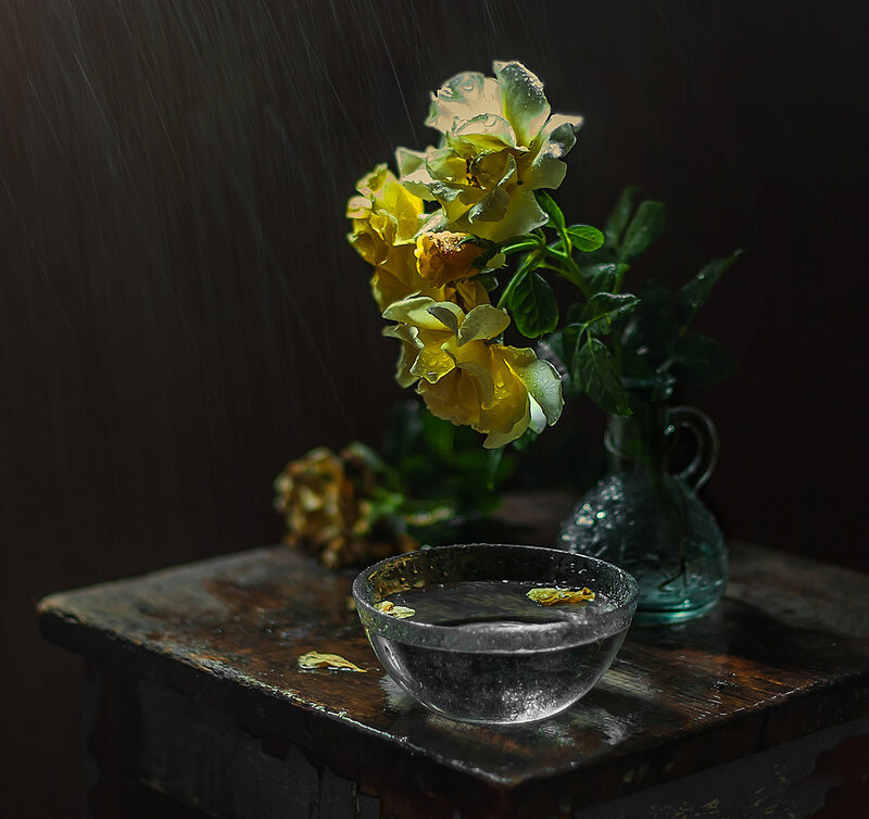 Yellow Roses in Rain