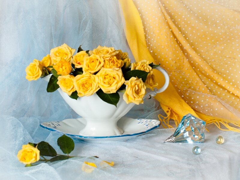 Yellow Roses in Teacup