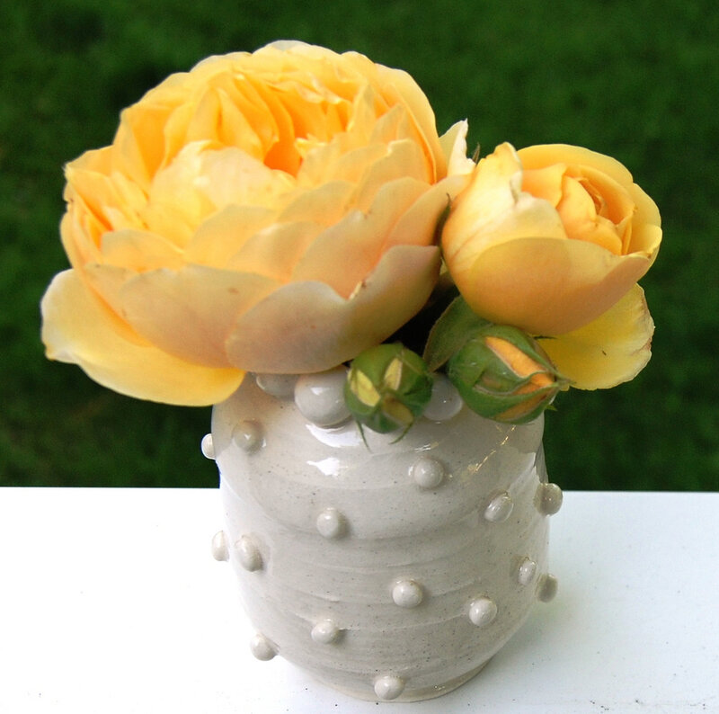 Yellow Roses in Vase — Calm, Afternoon