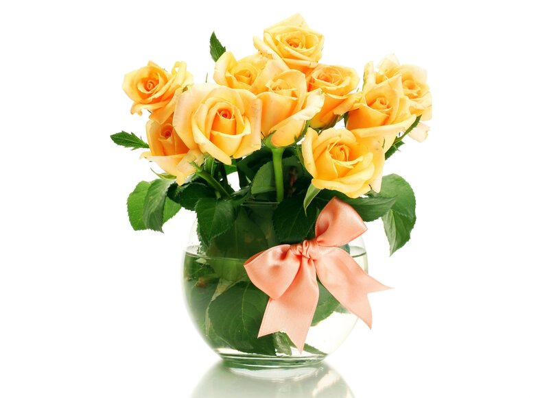 Yellow Roses in Vase — Calm, Photograph, Bow