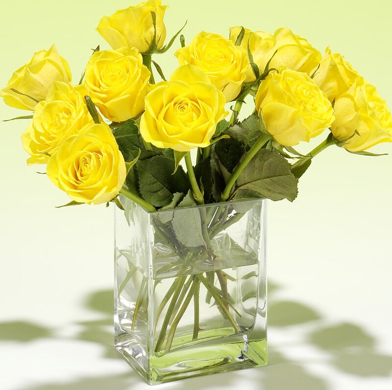 Yellow Roses in Vase — Calm, Photograph, Flowers, Leaves