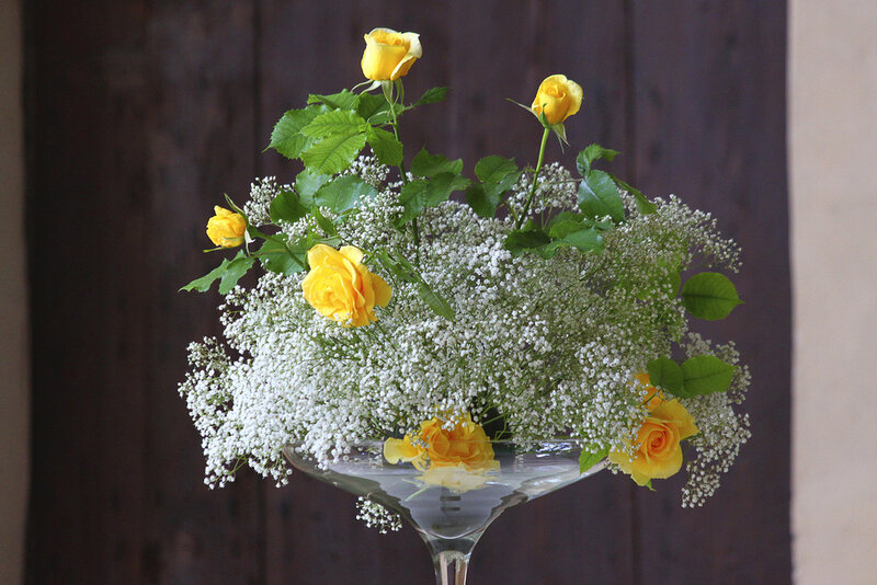 Yellow Roses in Vase — Calm, Photograph, Flowers