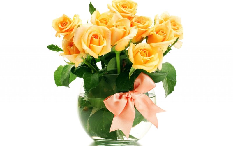 Yellow Roses in Vase — Calm, Photograph, Ribbon, Leaves