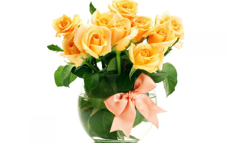 Yellow Roses in Vase — Calm, Photograph, Ribbon