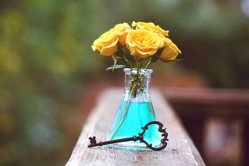 Yellow Roses in Vase — Serene, Afternoon, Photograph