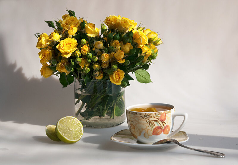 Yellow Roses in Vase — Serene, Morning