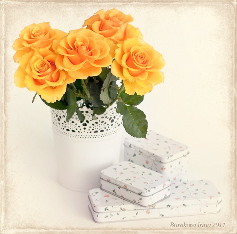 Yellow Roses in Vase — Serene, Photograph, Boxes