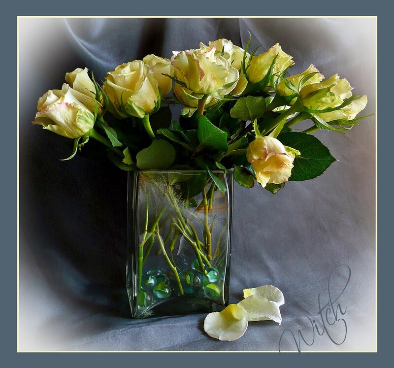 Yellow Roses in Vase — Serene, Photograph