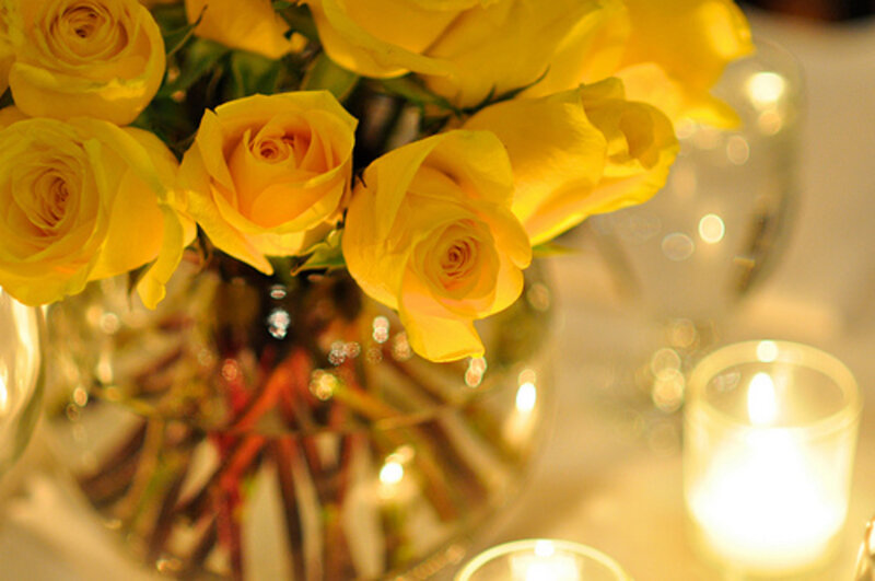 Yellow Roses in Vase — Warm, Night