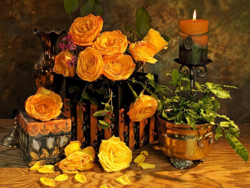 Yellow Roses in Vase — Warm