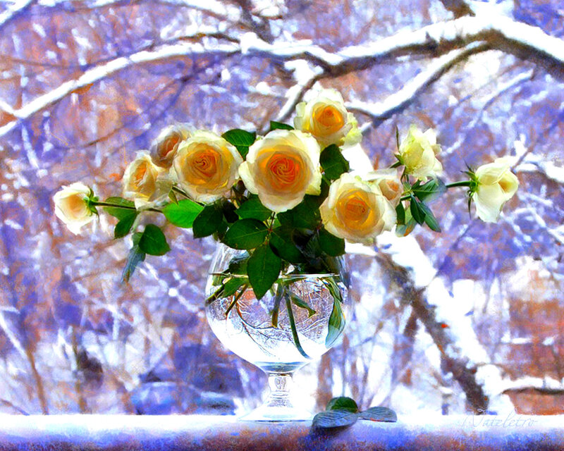 Yellow Roses in Vase — White