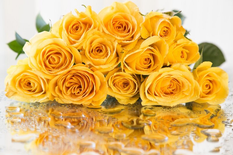 Yellow Roses in Water — Calm