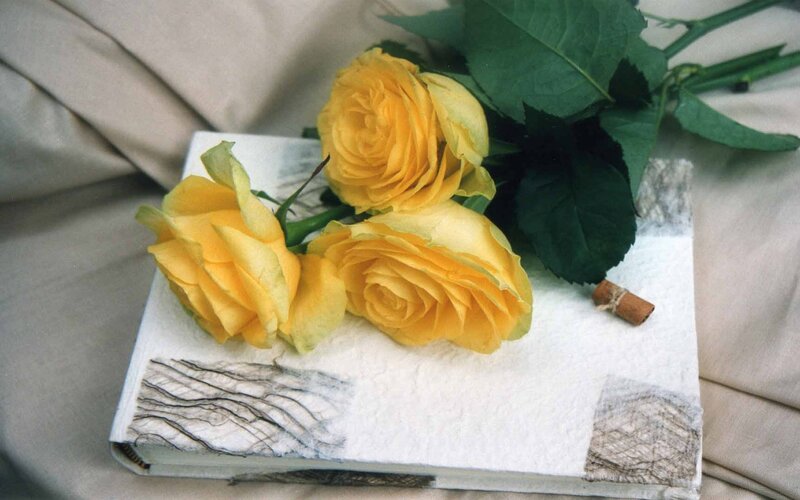 Yellow roses on a book