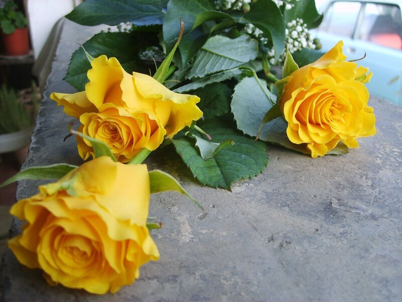 Yellow roses on a stone surface