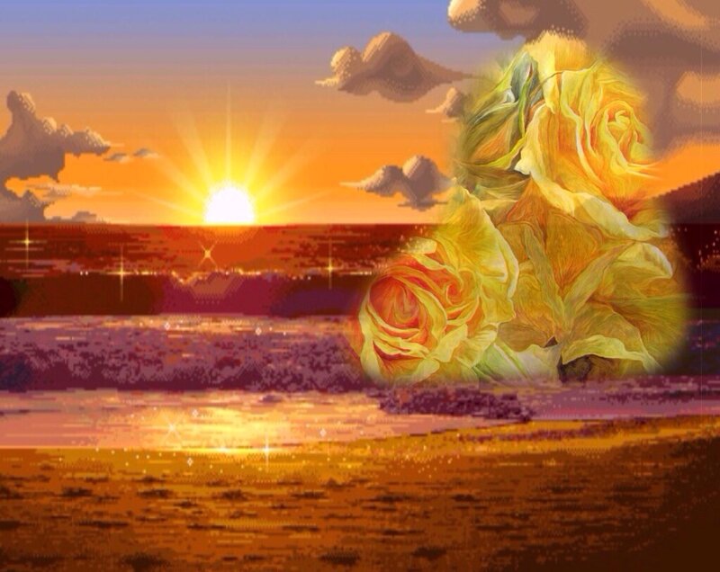 Yellow Roses on Beach