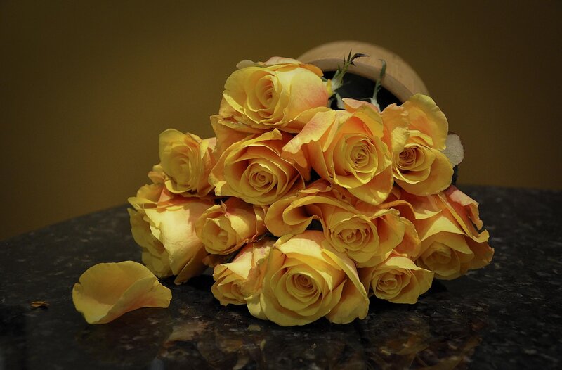 Yellow roses on dark surface