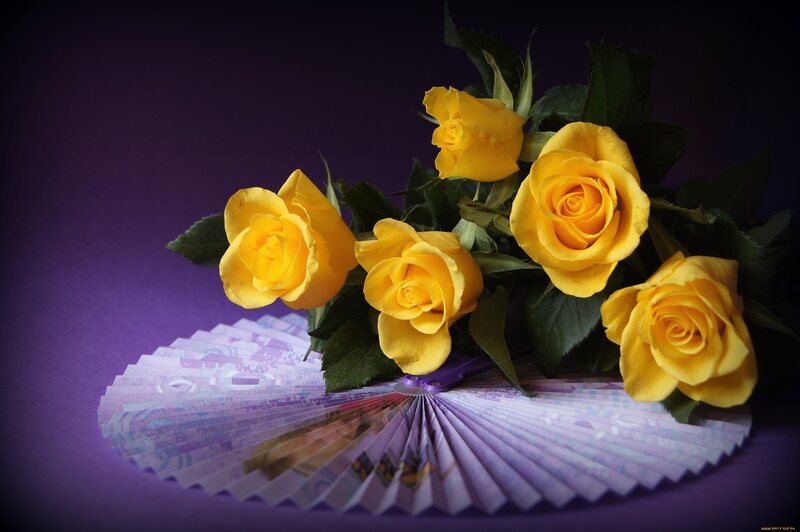 Yellow Roses on Fan