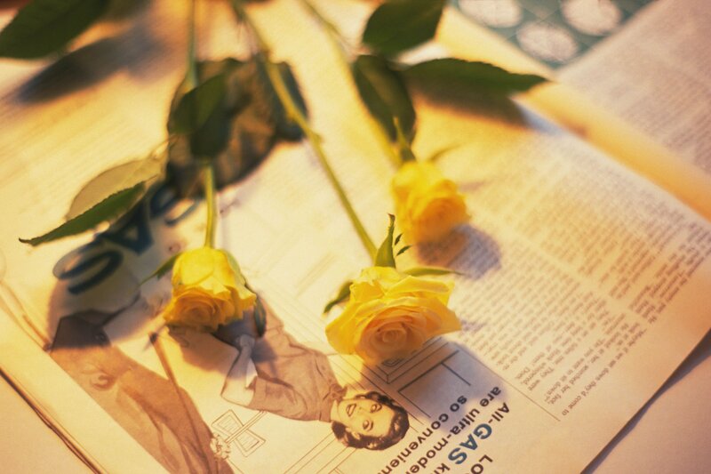 Yellow Roses on Magazine
