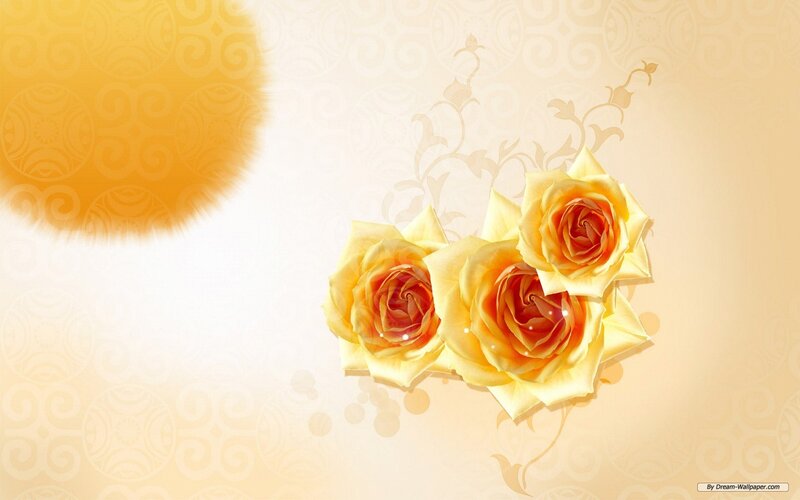 Yellow Roses on Patterned Background — Serene