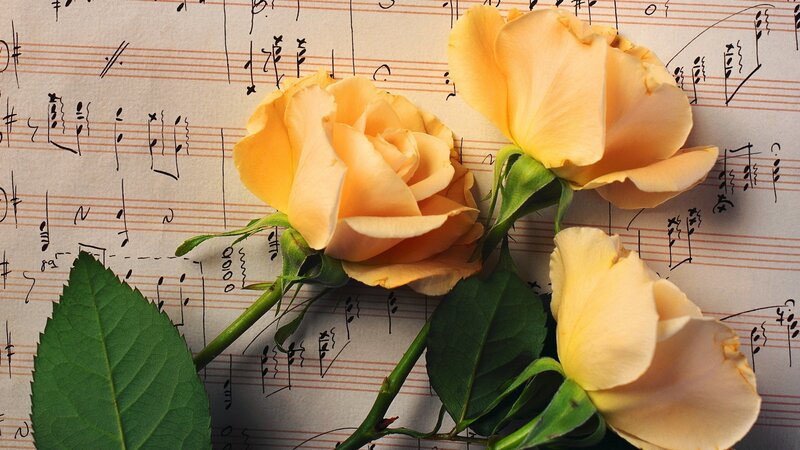 Yellow Roses on Sheet Music