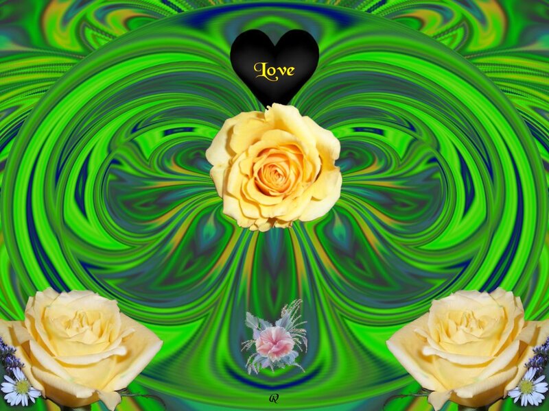 Yellow Roses on Swirl