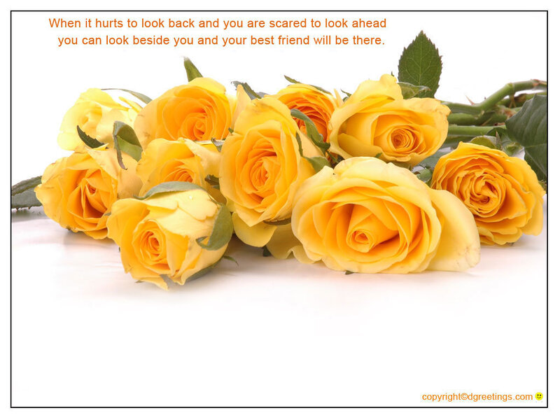 Yellow Roses on White