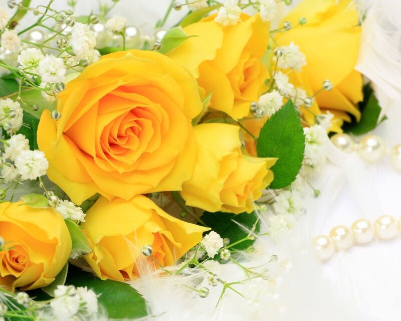 Yellow roses with baby's breath