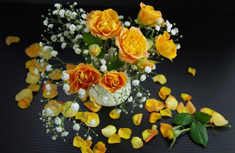 Yellow roses with baby's breath
