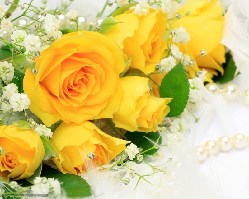 Yellow roses with baby's breath
