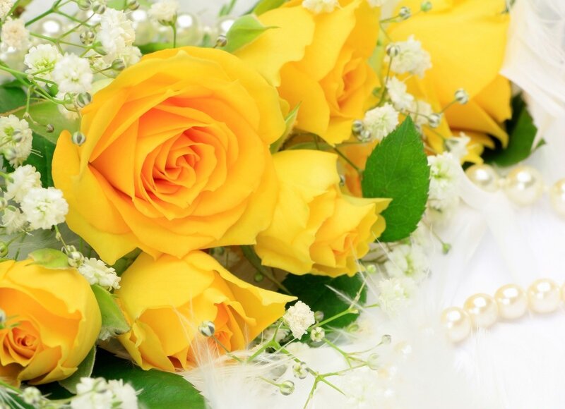 Yellow Roses with Baby's Breath — Calm, Photograph