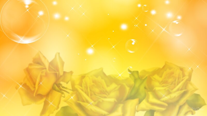 Yellow Roses with Bubbles — Dreamy