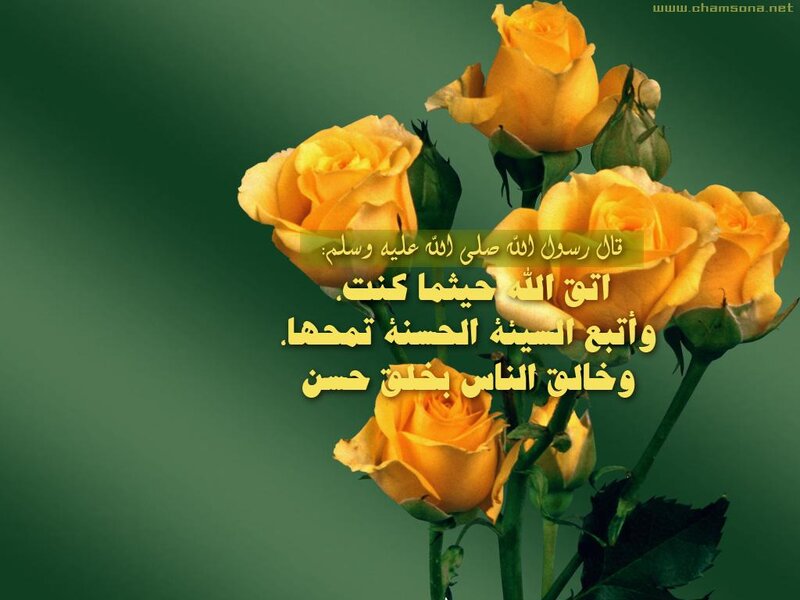 Yellow Roses with Green Leaves