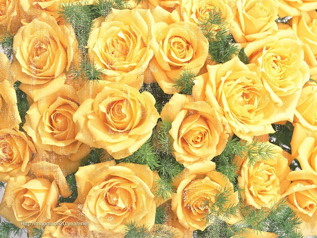 Yellow roses with greenery